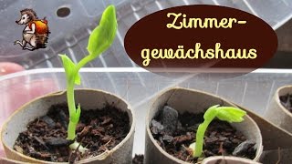 Zimmergewächshaus selber bauen│Upcycling│Vorziehen auf der Fensterbank [upl. by Saphra]