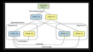 homology terms [upl. by Publias559]