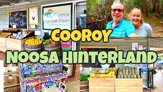 COOROY I Noosa Hinterland Queensland Australia Travel Vlog 130 2022 [upl. by Albion290]