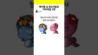 메이플 속 몬스터들의 TMI 모음 2탄 [upl. by Heddie]