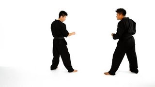 How to Do Closed Stance amp Open Stance  Taekwondo Training [upl. by Ashman]