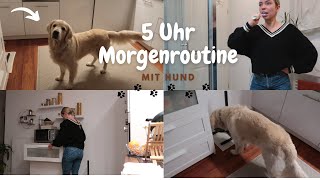 Mein ALLTAG unter der Woche mit HUND [upl. by Aynam]