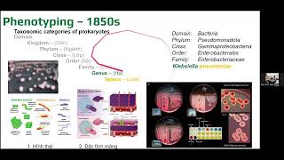 MGMA 111 Serotyping phenotyping [upl. by Ardnoet]