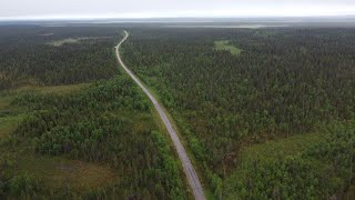 Lonely road through mystic Finnish swamps in Lappland [upl. by Shaia602]