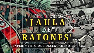 La Vida PERFECTA es ATERRADORA  El EXPERIMENTO Del UNIVERSO 25 [upl. by Naniac]