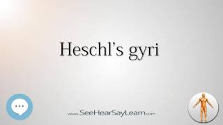 Heschls gyri Anatomy Named After People 🔊 [upl. by Nicodemus]