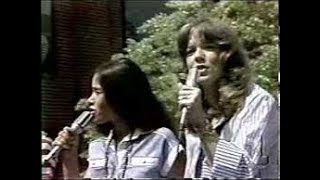 Starland Vocal Band  Afternoon Delight 1976 [upl. by Tat]