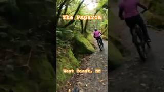 The Paparoa Trail from Punakaiki to the first hut mtb travel bike [upl. by Ahsenrat374]