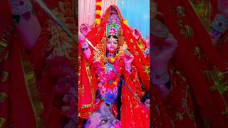 Jai Mata di 🙏shorts ashtami navratri2024 [upl. by Aidaas]