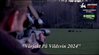 quotVårjakt På Vildsvin 2024quot Följ med jaktfeber på spännande Vildsvinsjakt på våren [upl. by Jarietta]