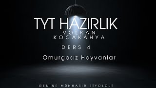 Canlıların sınıflandırılması  omurgasız hayvanlar yks2025 [upl. by Brass]