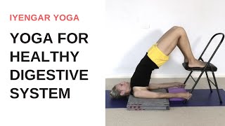 Yoga for healthy digestive system  Iyengar Yoga [upl. by Burl108]