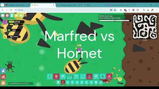 Marfred vs Ultra Hornet florrio [upl. by Gorga214]