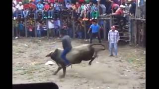 montadas de toros en ciudad de totolapa chiapas [upl. by Nwahsak733]