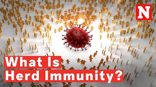 What Is Herd Immunity How To Achieve It And Why It Can Be Controversial Amid COVID19 [upl. by Abehs]