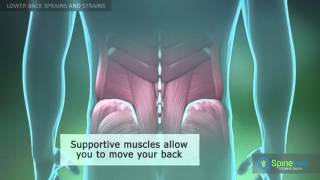 Lower Back Sprains and Strains [upl. by Oer681]