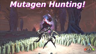 Mutagen Hunting and R Snow Owl Taming  Ark Survival Evolved Solo Ep199 [upl. by Helbonna]