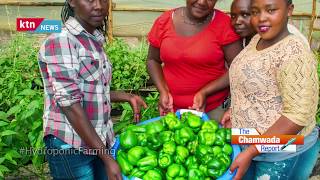 The Chamwada Report Hydroponic Farming in Kenya [upl. by Ekud]