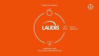 Laudis [upl. by Gilud]