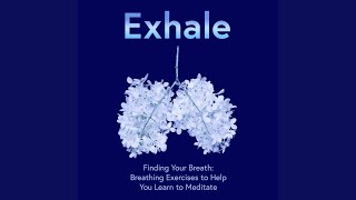 Extended Exhalations1 24 8 Breathing Slow Down [upl. by Emyaj]