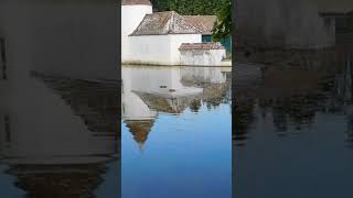 Craigtoun Country Park standrews scotland nature visitscotland travelscotland shorts [upl. by Anilemrac]