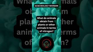 GCSE Biology Paper 2 Nitrogen Cycle  Science Quiz Question 162 [upl. by Marsiella]