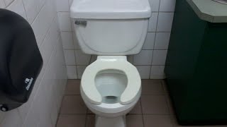 Rare Vitromex Toilet in Canada [upl. by Bum]