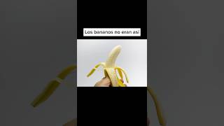 Así es cómo realmente eran las cosas antes shorts banano fruta [upl. by Calisa]