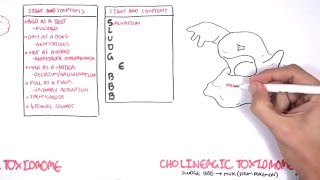 Cholinergic and Anticholinergic Toxicity Toxidrome [upl. by Nierman]