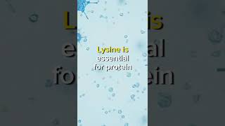 Unlocking Health Secrets LArginine BCAAs and Lysine Explained youtube healthandwellness [upl. by Pedaias869]