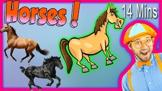 Horses for Children  Learn Farm Animals for Kids The Horse Song from Blippi [upl. by Ozzie]