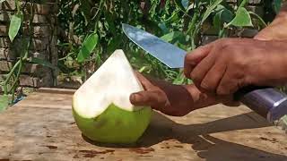 ASMR green coconut l Coconut cutting skils l beautiful coconut satisfying slicing  Relaxing sound [upl. by Pomfrey]