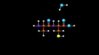 Proteine il legame peptidico [upl. by Caundra]