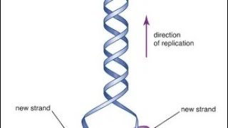 Rosalind Franklin biography in English born July 25 1920 Londonbiographyphysicschemistry [upl. by Oflunra]