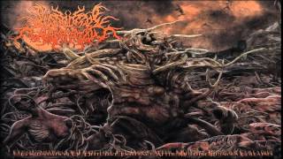 FULL ALBUM Postcoital Ulceration  Continuation of Defective Existence After Multiple [upl. by Naz]