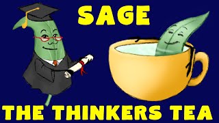 Sage Tea Benefits Everything You Need to Know [upl. by Onailime]