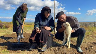 Finding Peace in the Caucasus Mountains A Simple Rural Lifestyle [upl. by Chesnut234]