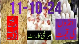 11102024 broiler rate Today egg rate Today chicks priceToday poultry rate today chicken rate [upl. by Bondie657]