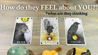 ❤️‍🔥😲🎶 Their Current FEELINGS for You Pick A Card  in Depth Love Tarot Reading TIMELESS [upl. by Ahsakal]