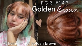 How To Color Hair At Home Under Rs149  Easy Golden Brown Hair Color  Garnier Golden Brown Color [upl. by Applegate]