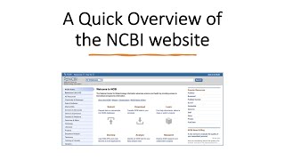 How to Use the NCBI’s Bioinformatics Tools and Databases [upl. by Ynabla]