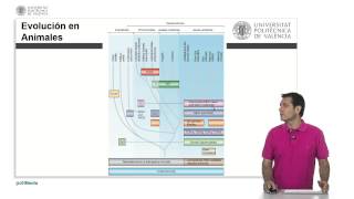 Filogenia de Sistema Inmune   UPV [upl. by Neelrac]