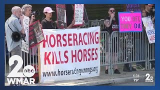 Horse racing activists gather outside Pimlico Race Course [upl. by Euridice]