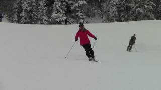 Parallel Skiing  2  PSIA  Level 2  Movement Analysis Training [upl. by Ardnekat]