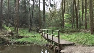 Macclesfield Forest Walk English Countryside 4K [upl. by Basilio]