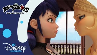 😲 Złodziejka  Miraculous Biedronka i Czarny Kot  Disney Channel Polska [upl. by Aifas]