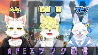 APEXだ！戦闘だ！ランクだ！🐺✨【てと！狼系Vtuber】 [upl. by Steen]