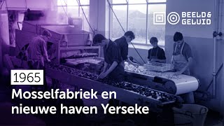 📼 Haven Yerseke geopend en bezoek mosselfabriek 1965 [upl. by Jacquelyn]