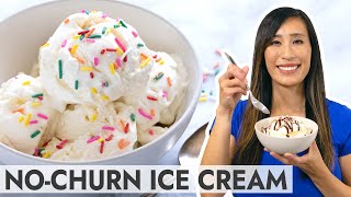 How to Make NoChurn Ice Cream A Simple Guide for Beginners [upl. by Garnet53]