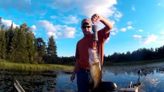 Fishing the St Croix Flowage in Gordon WI  2016 [upl. by Brunelle]